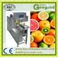 Apple Orange Lemon Pear Mango Peeling Machine